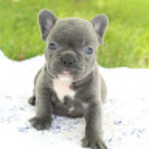 Meet your Posher, Miley